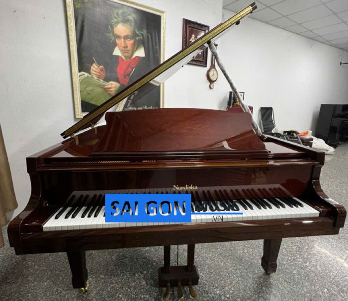 Grand baby Nordiska Thụy Điển -saigonmusic