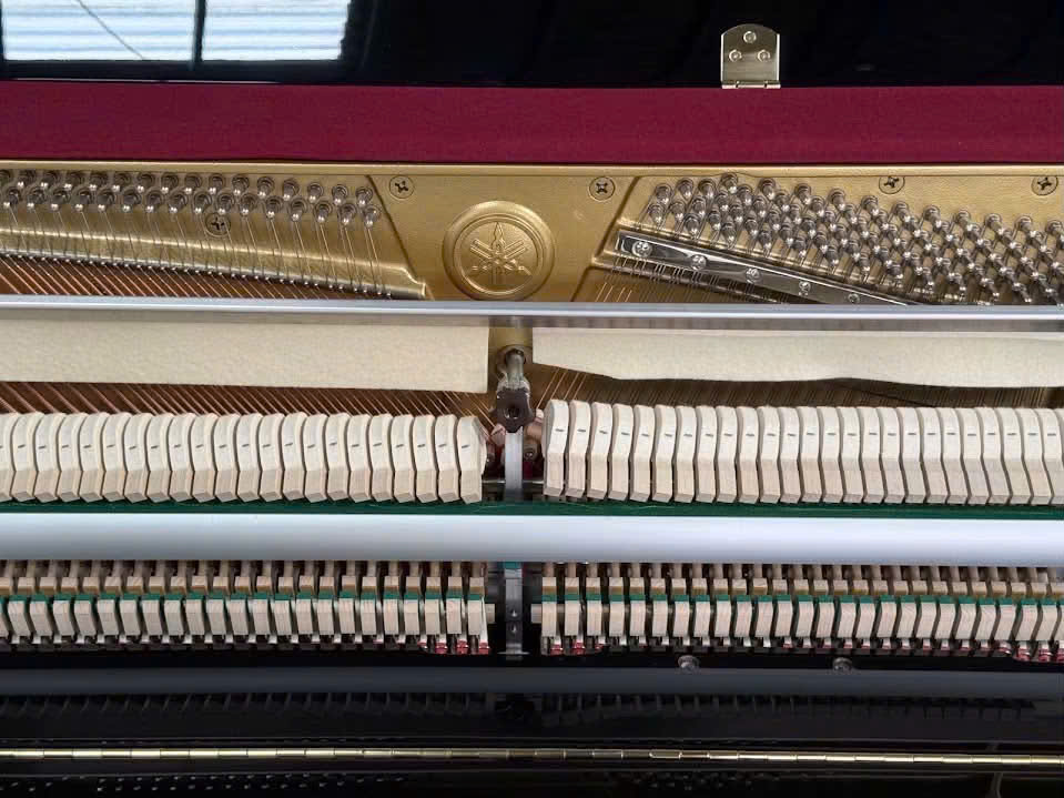 Đàn Piano Yamaha B113SD